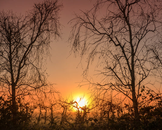 Nature's Beauty - Photos from around the Garden of England, Kent