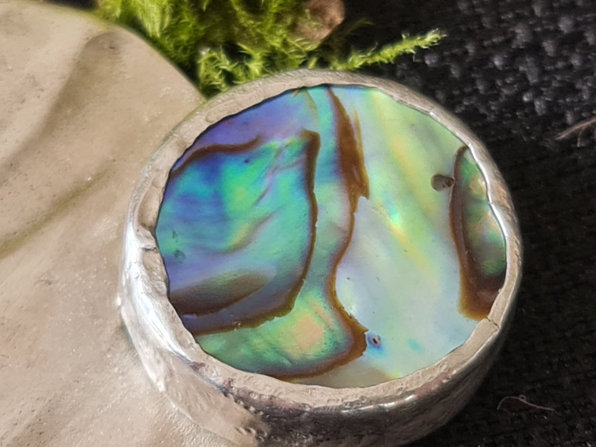 Close up of the paua shell